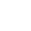 Security icon